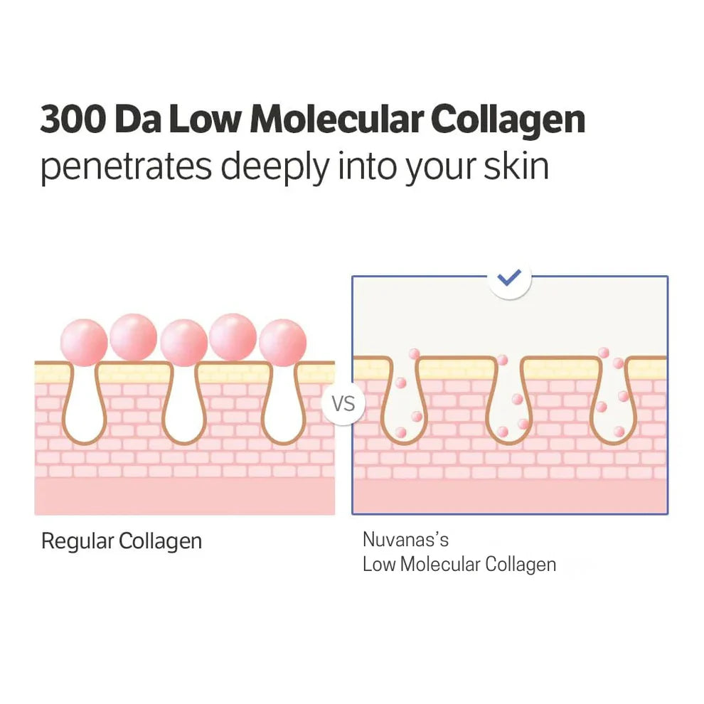 Deep Collagen Cream In Serum - Ultra-Low Molecular French Collagen for Firming & Elasticity