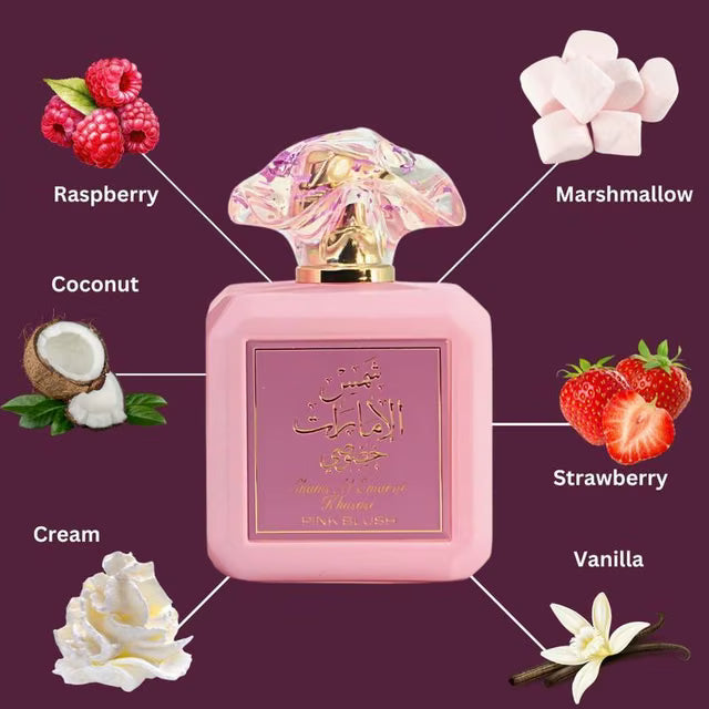 Pink Blush scent note graphic showing raspberry, marshmallow, coconut, strawberry, cream and vanilla